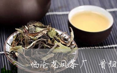 临沧龙凤茶厂 昔归/2023031866069